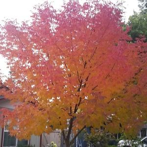 Meet your Posher, Gail